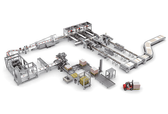 自動(dòng)稱(chēng)重包裝流水線(xiàn)